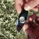 X0H4tj40_2019822223139.gif