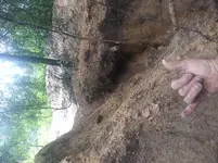 20190817_134354.webp