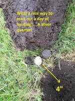 Finds 6-14-19 001.webp