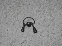 DSCN0428.webp
