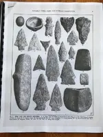 ImageUploadedByTreasureNet.com1561719685.803580.webp
