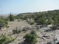 File #1 341.webp