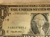 dollar 393.webp