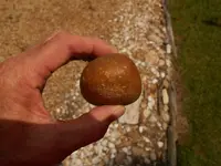 DSCN1496.webp