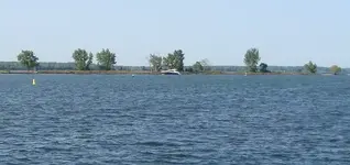 DSC02800.webp