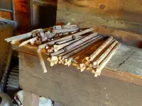 trip 072319 4.webp