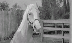 6E417093-14CB-4CFE-B384-C40B39BBB818.gif