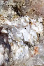 20190628_083825~3.webp