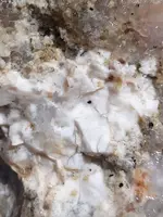 20190628_083647.webp