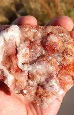 20190813_064540.webp