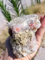 20190628_081921~2.webp