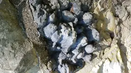 20190701_140847.webp