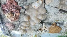 20190701_141035.webp