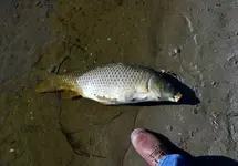 K1600_DSCN6007.webp