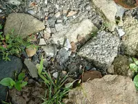 DSCF0013.webp DSCF0013.webp