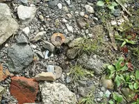 DSCF0014.webp