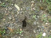 DSCF0009.webp