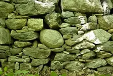 Walllrg.webp