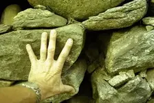 HAND.webp
