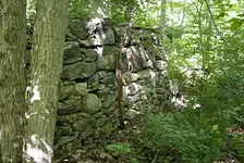NorthWall.webp
