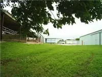 Area to camp.webp
