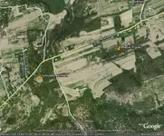 pine grove field.webp