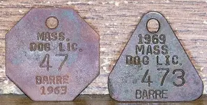 dog tags.webp