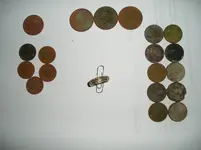 Coins and Ring.webp