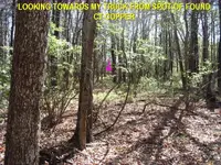 IronPitVernalPond2.webp