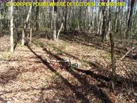IronPitVernalPond3.webp