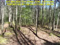 VernalPond.webp