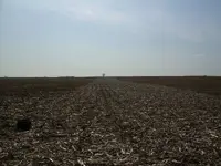 Field finds 5-12-08 001.webp