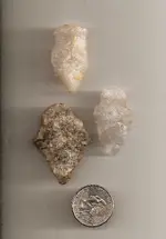 April1 finds.webp