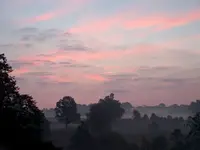 Foggy Morning.webp