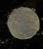 crusty.webp