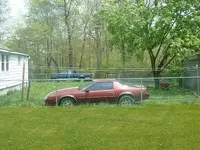 yard.webp
