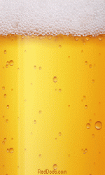 03c0aecc99b1083697affd8fa05d8e8b.gif 03c0aecc99b1083697affd8fa05d8e8b.gif