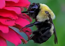 00999AAA.webp