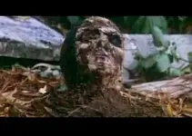 000zom.webp