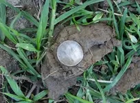 K1600_DSCN7096.webp