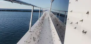 20190716_080923.webp