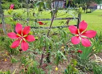 20190802_135547.webp