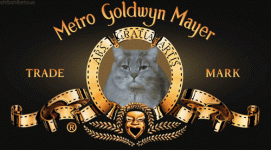 C0F56F72-DE9B-4597-AF7C-37836DF0BA56.gif C0F56F72-DE9B-4597-AF7C-37836DF0BA56.gif