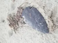 20190831_194020.webp