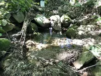 20190628_153006514_iOS.webp