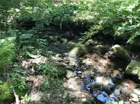 20190628_153032953_iOS.webp