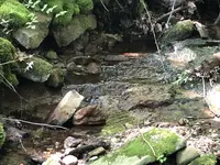 20190628_153145463_iOS.webp
