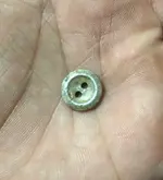 Mcnelly button2.webp