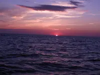 CFBCDB8E-8700-42B1-831D-57E69FBE1724.webp
