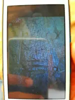 20190814_130732.webp